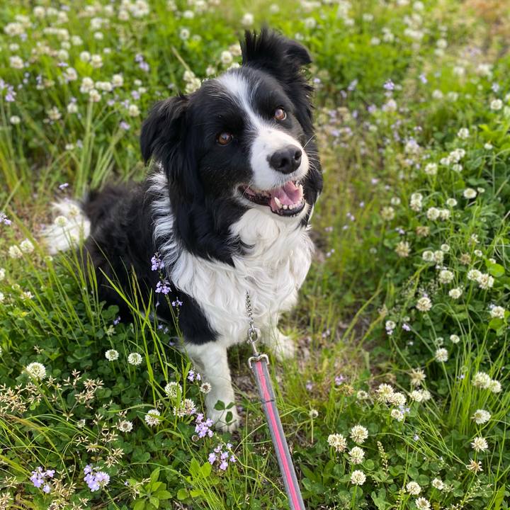 771c9268 8989 4bd8 8a83 6586d92f3969 1618653392961