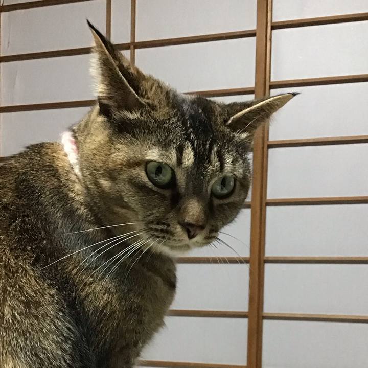 771cafeb bee7 4ccb 800c c51fa45bbe7c 1676297090306