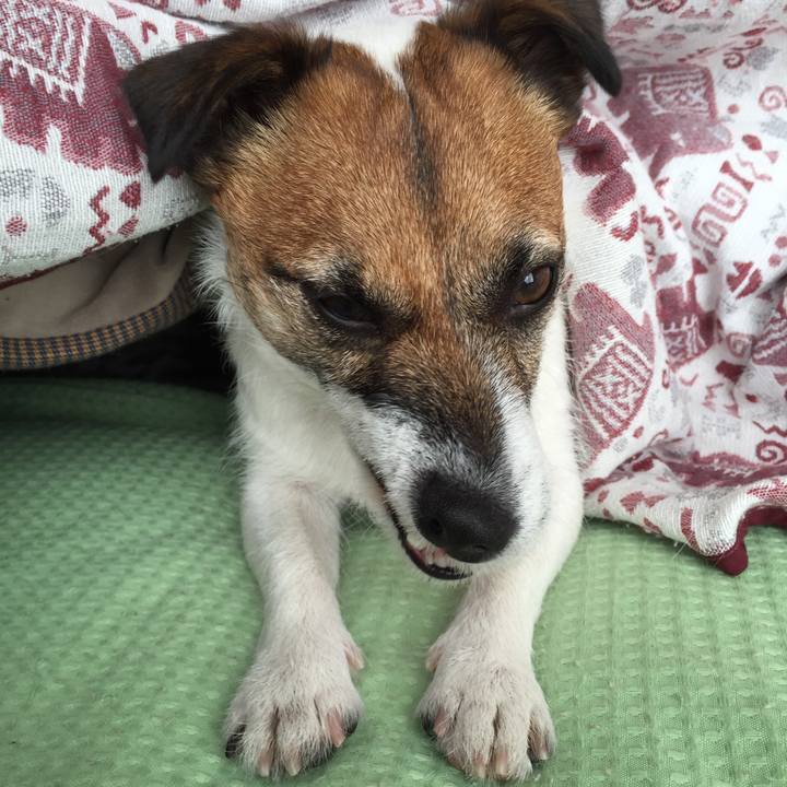 771ce322 e1b5 465f b120 f7d4e498f32d 1553671522390