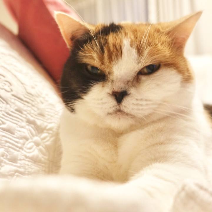 771cfb37 d04b 4396 b721 37e4e4211b9c 1556892979632