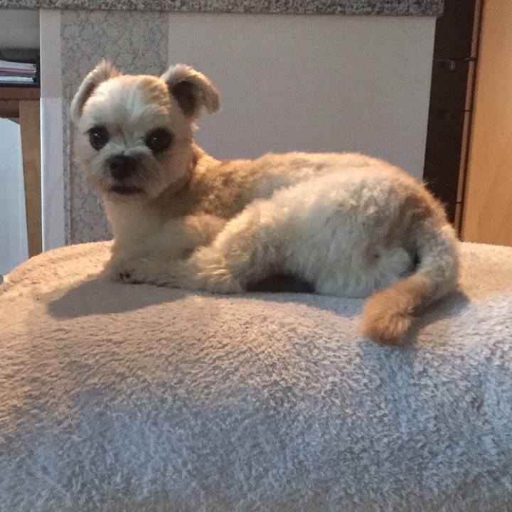 771d022b e6b6 4ab6 b600 08d1100d85ac 1535885663140