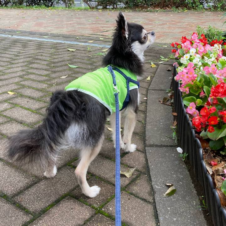 771d0762 d9b9 457f 8a19 225429d33202 1688310311282