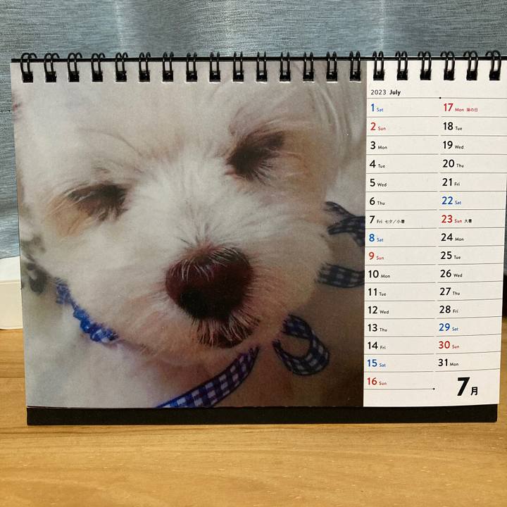 771d0c4f bb81 4bf6 b685 4c2a29da0625 1690551910088