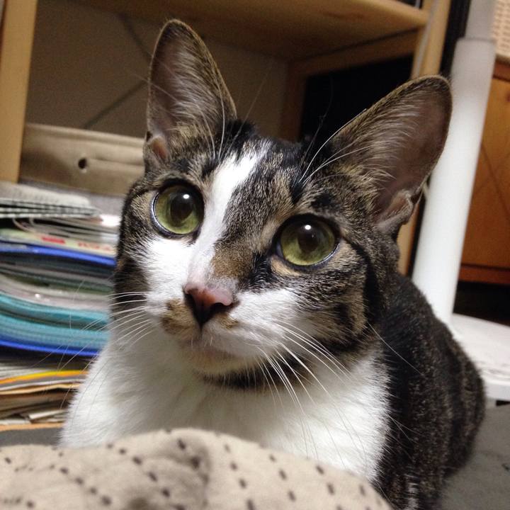 771d2b90 8a17 4656 aea9 442db8c297a7 1508734350970