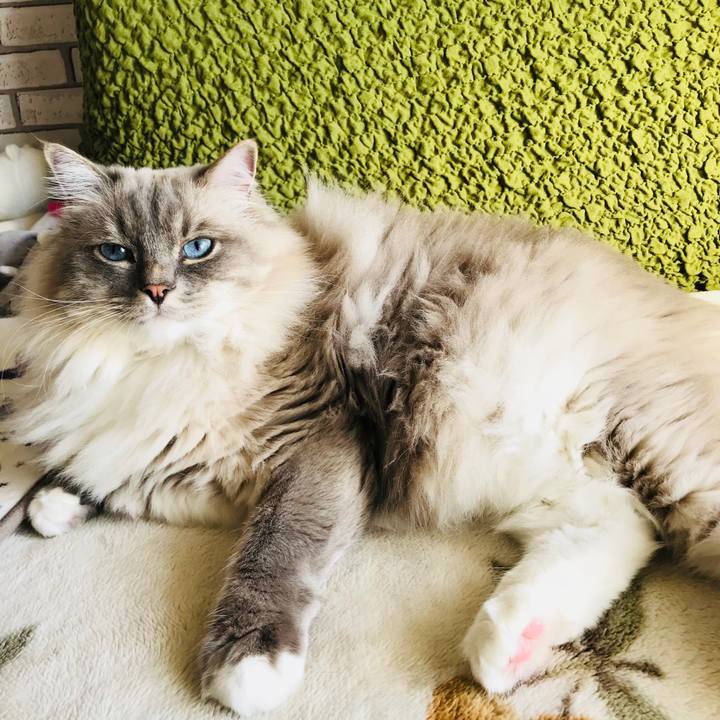 771d9b54 2b65 4998 af28 a99bfd4b0a33 1515838868545