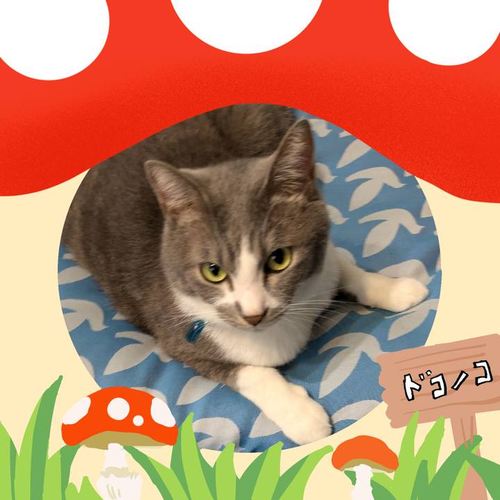 771dadfa 7613 4eae a74c 3836debb89ff 1729645532068