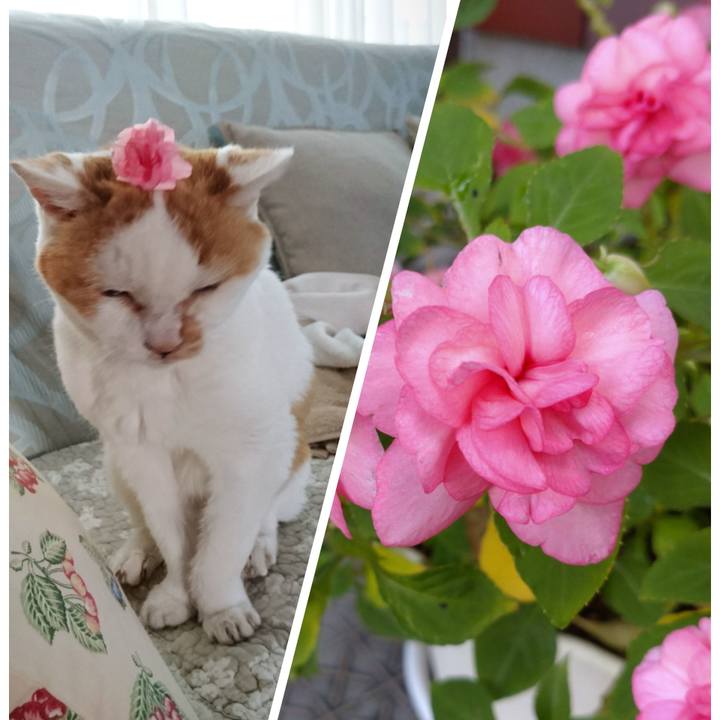 771dca50 5db9 4fd8 a12c 68bd1d648112 1632451672322