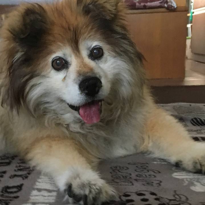 771df5bb 314c 49b3 8821 4678626d1f0c 1608514087889