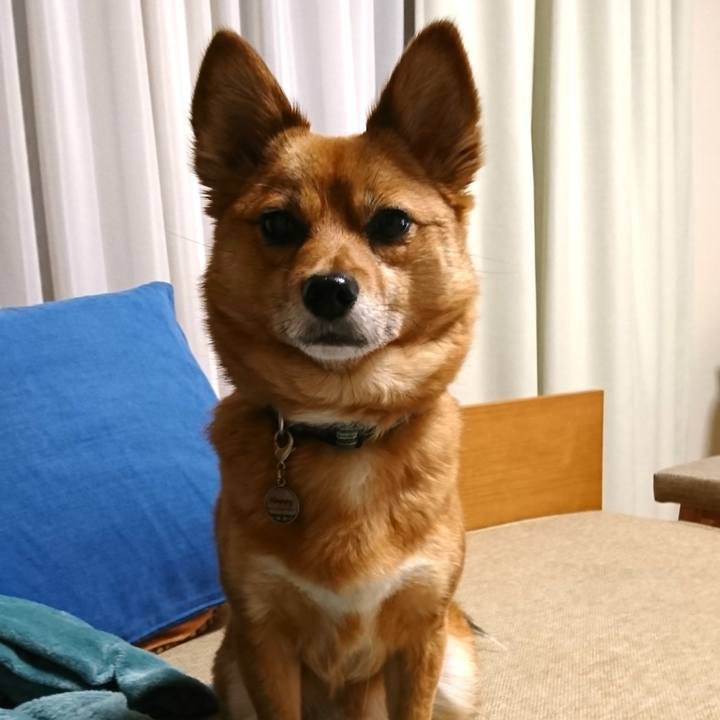 771e027f 7d69 4bc8 90e3 f953c5e8f9fc 1553517253584