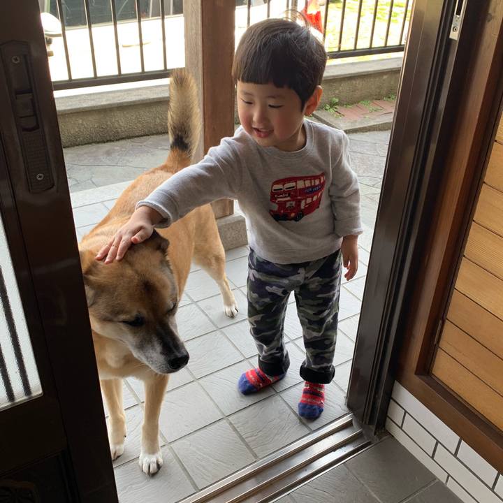 771e0965 904c 46a0 9c7f cf9a84116bdf 1553478220866