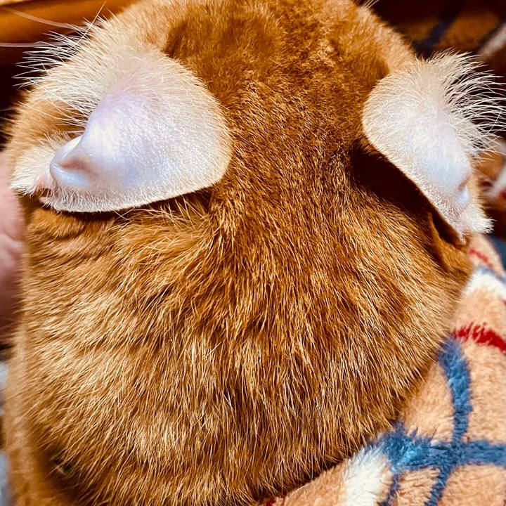 771e15d7 dd9d 4c5b bd14 0e42c54ec090 1767554045829