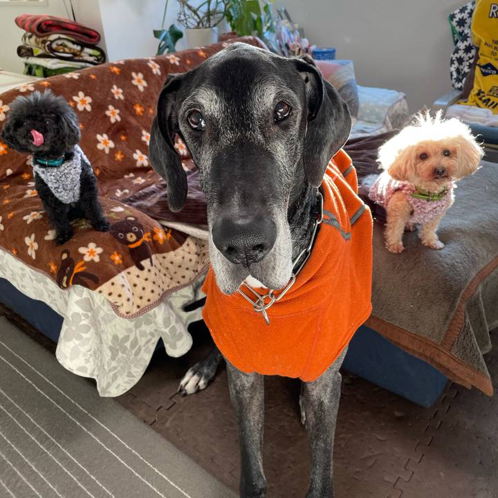 771e2985 9add 40d2 8b9a ff7a9cb7272a 1612823923577