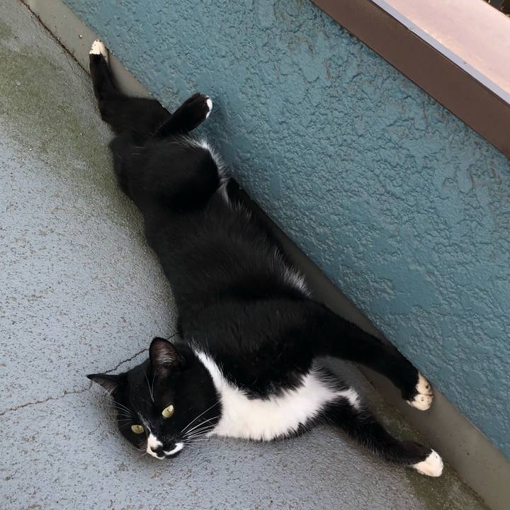 771e34d3 fe55 4e86 8f27 811142515f89 1556507316830