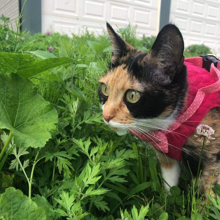 771e4edb 5d71 496d 939a 0e1bcc017ba1 1562490282422