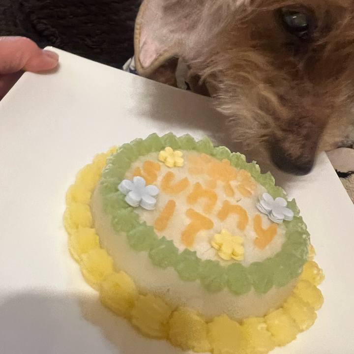 771e765a bab4 4fe8 ac25 4495e1d81546 1703542447559