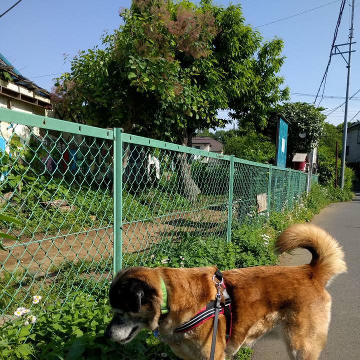 771e9701 f97b 41ed b68b e247d6c7ed12 1525136003965