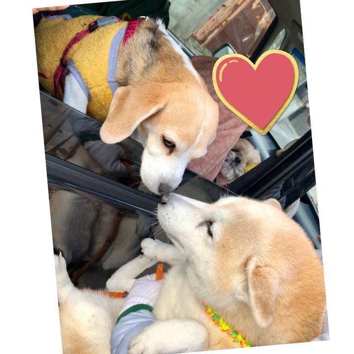 771e9d60 dd32 49ee b131 1b9648c8effe 1548766294368