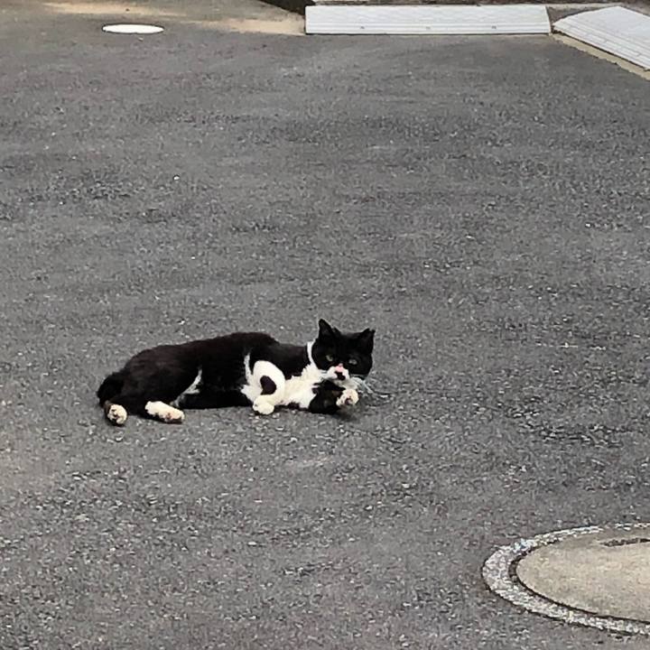 771e9f45 67ed 4a1b adc3 47b8fa33b701 1633427511160