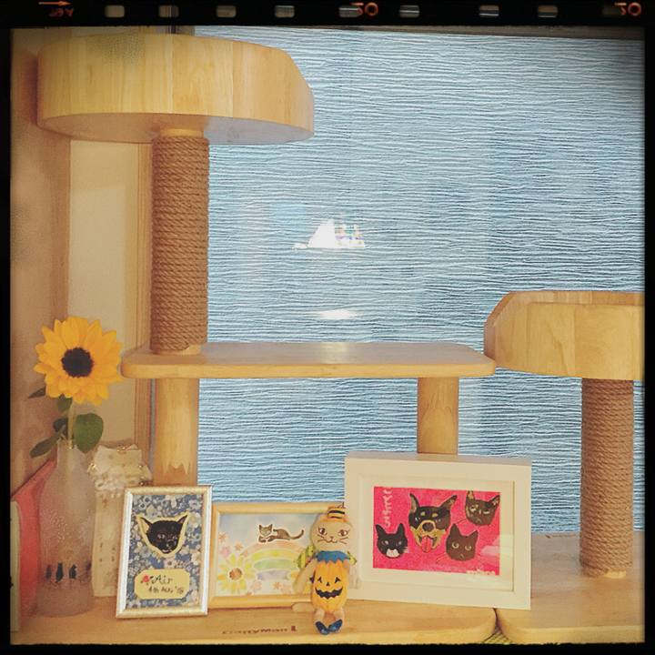 771ea504 3136 4a14 993c 8d55c3677652 1537455334277