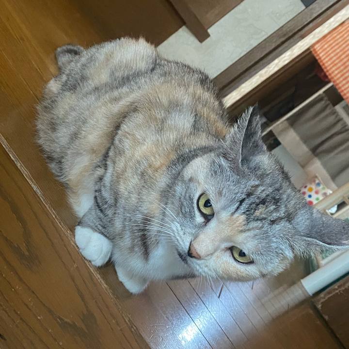 771eafd4 a9e5 4b13 90fc c5ba58f693e9 1659141430291