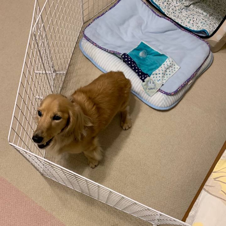 771ecef1 7e88 406b af30 064a37b7fc19 1559956332487