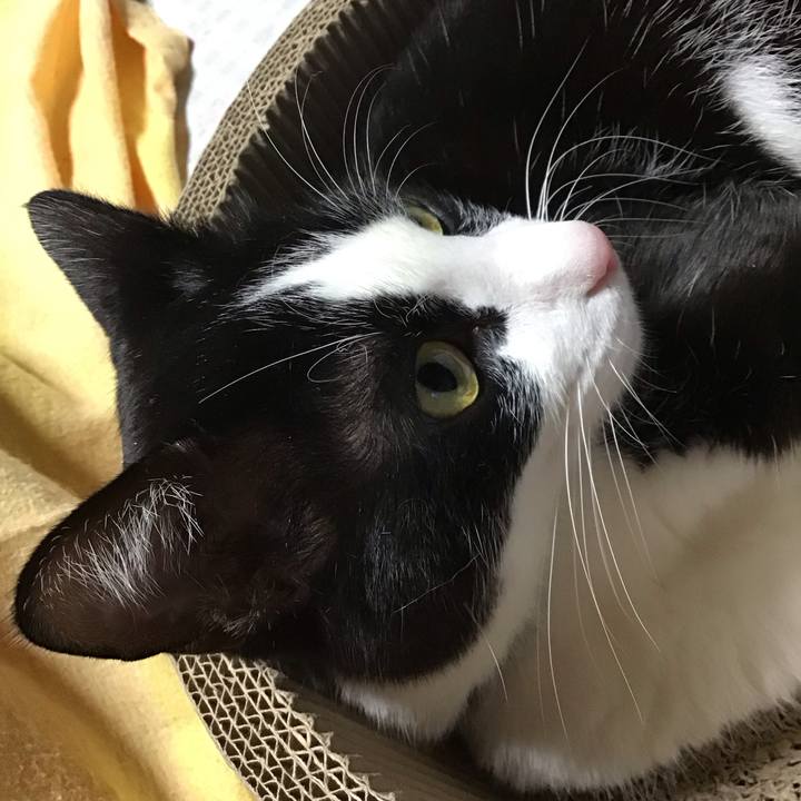 771ef0b6 3ae5 4231 9075 b839726ba735 1702802494365