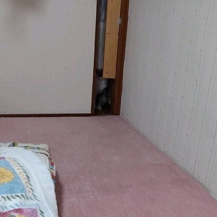 771ef255 eba7 4b40 8841 3b04b44451e9 1666241420832