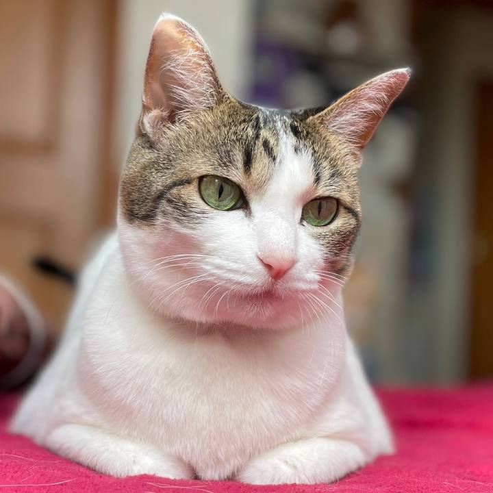 771ef5ad d5fb 4eb4 8c12 d3d70b3722d3 1644589725277