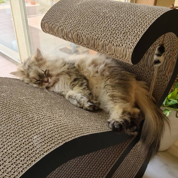 771f02f5 ddf0 4761 aa4c 83c5707e2125 1621900226694