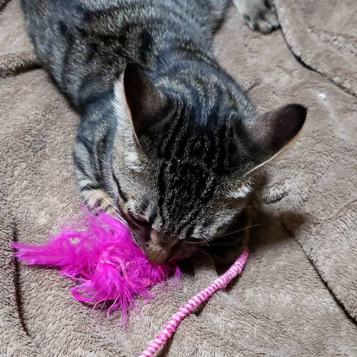 771f1697 4e05 4530 8551 7e1d141ae564 1541846925500