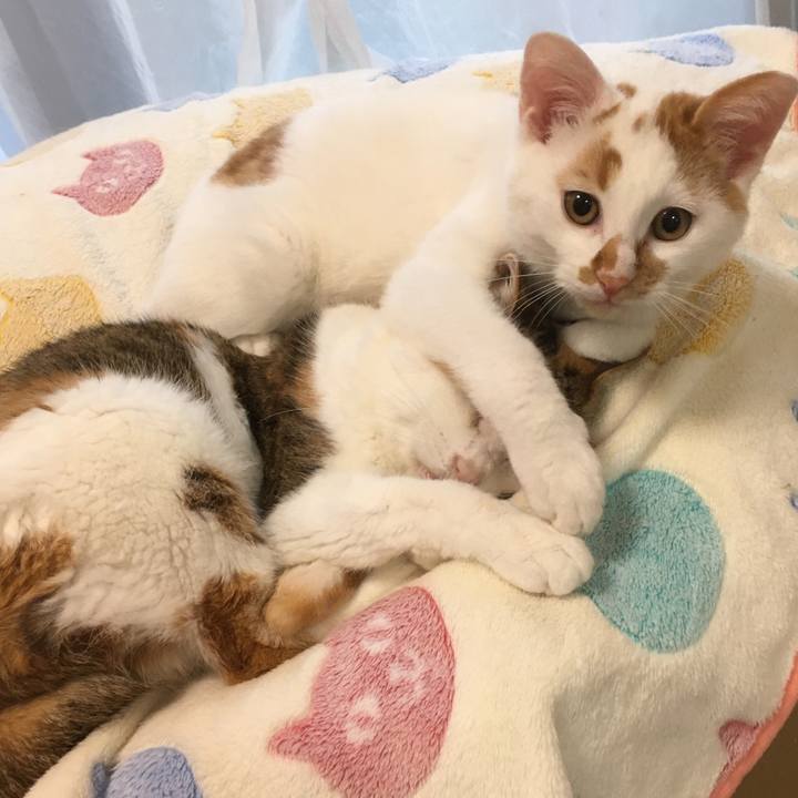 771f6b62 6c15 4757 ac60 122fff36270a 1577765028131