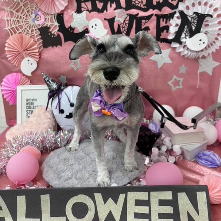 771f97d8 5578 41c2 ae97 162e1545acc8 1761561939406