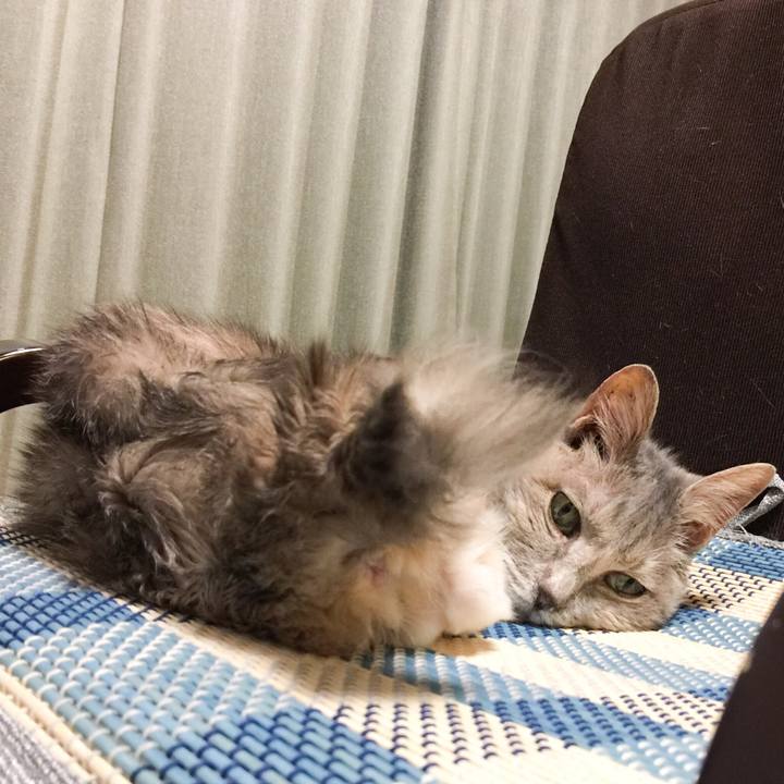 771fa6d6 e5f9 40a8 bed8 08f54eea3f05 1525008283446