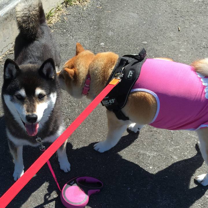 771fd117 67ec 43d6 90da 53ba7717bf94 1583898241488