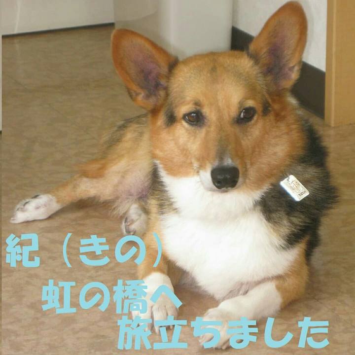 771fe990 fe1d 4b2c ae11 b6e1a4e1867c 1609980802795