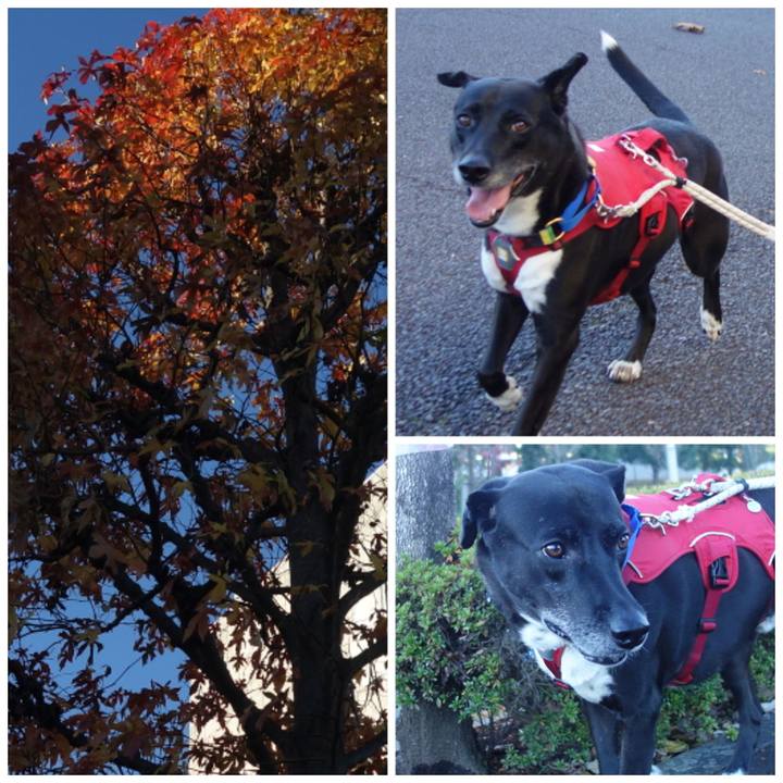 77203e8a 3619 4980 baa9 e67b0a42cf85 1669339420826