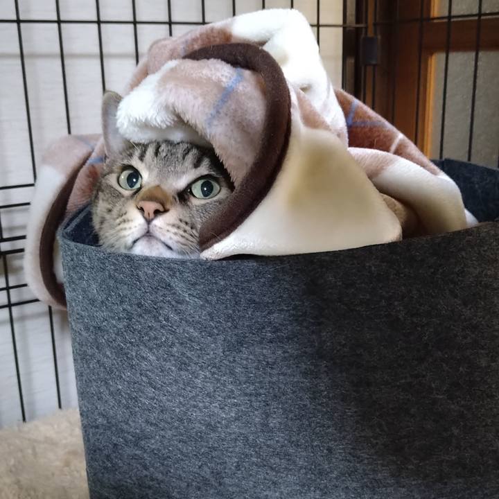 77205028 22fe 473b 86a1 a18e93d71a00 1675508237887