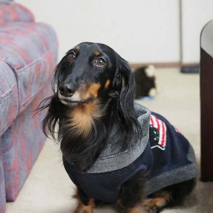 7720a616 2916 4787 9bdf 10f0ea9d4730 1573710773485