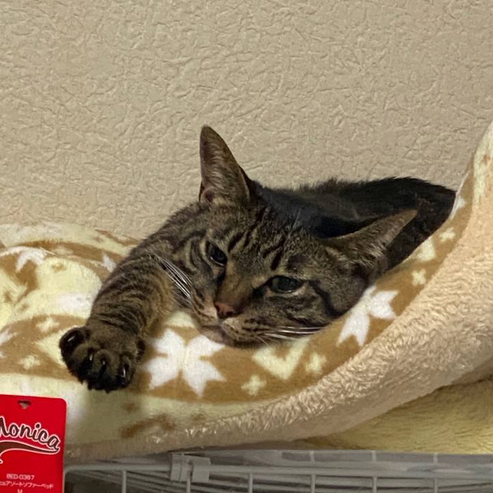 7720ab8a 537f 4c72 b9d6 79eed891dc22 1652329265537