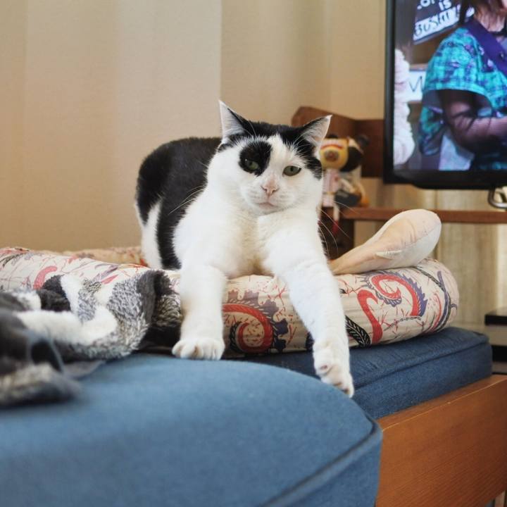 7720bb8e 5b61 4fa0 9724 da531ccca197 1580978261722