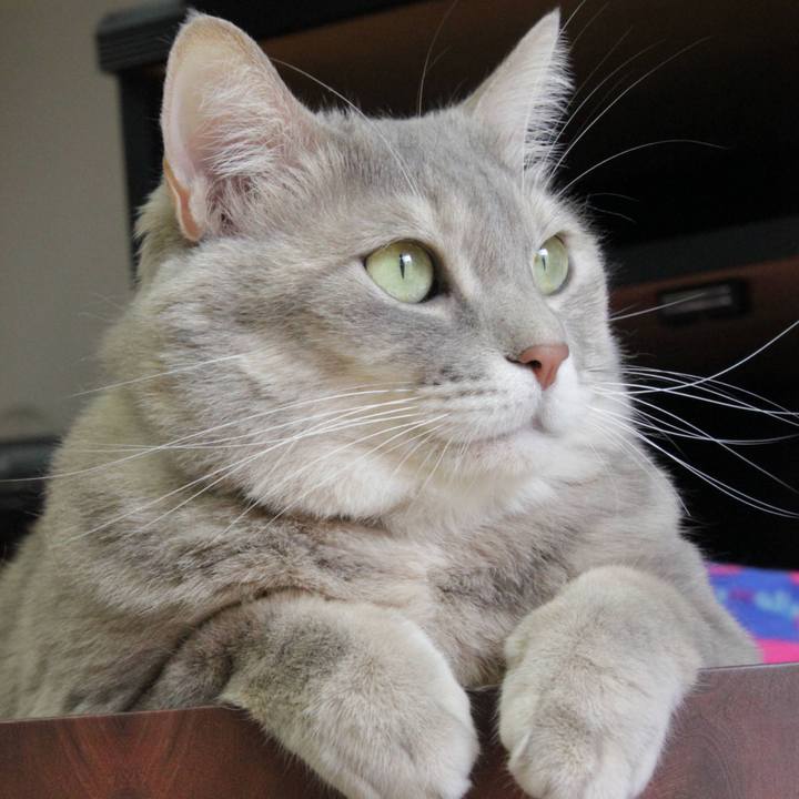 77210bd1 2b4c 43f4 a20f 96d736494b22 1638934957768