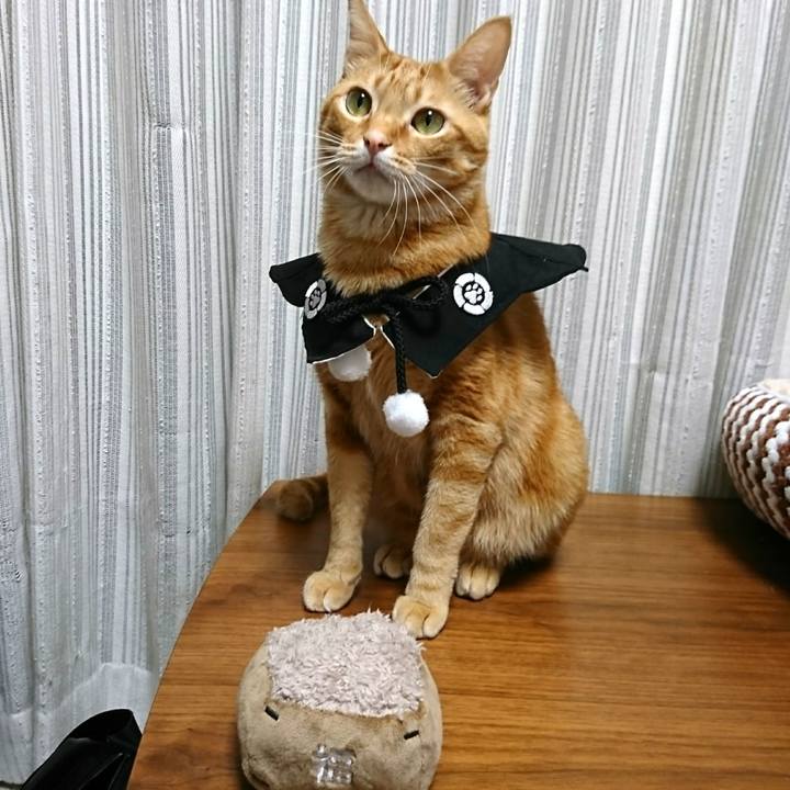 7721141f 18e0 418a 8134 e630625066d0 1549109747015