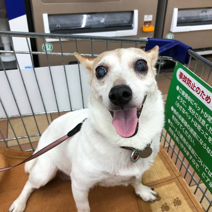 77213200 ef11 4131 9d48 0424ce647246 1542098700230