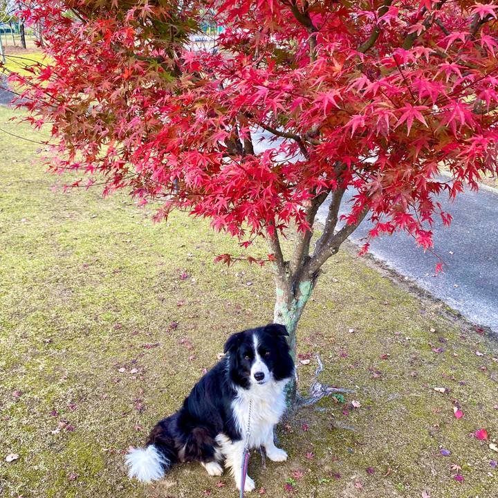 77215475 22cb 4f97 a060 80aaf610a3a1 1605569428655