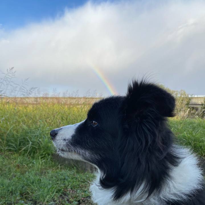 77217a84 b059 49a5 86d2 f771322f26f5 1728137798499