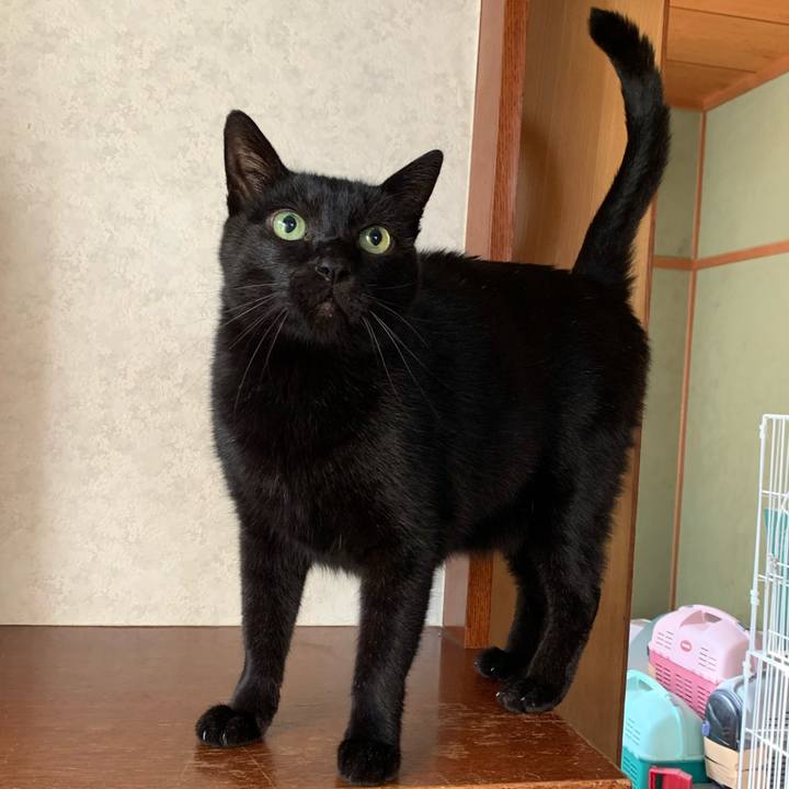 7721d052 3625 4d74 903d f29fe51705e9 1572483536379