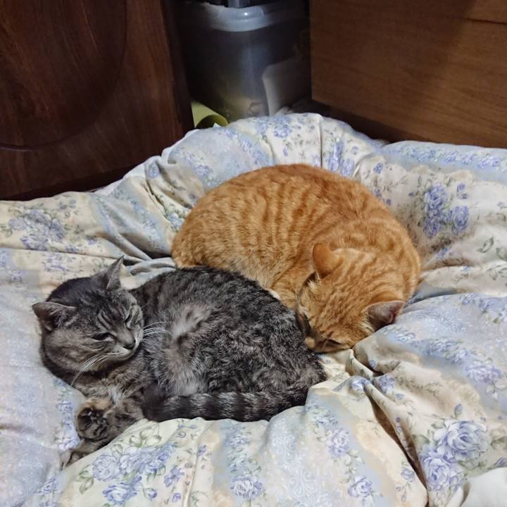 7721d4c3 aae6 4aa2 aa8a e0e59f12f238 1583667304964