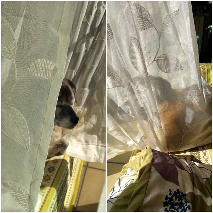 7721da23 e3ea 45b9 8999 3426894014c5 1572835523123