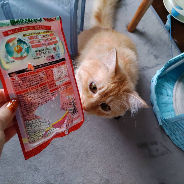 7721db95 68c3 44ac 8c8a 9e3aaec51d8f 1662260556280