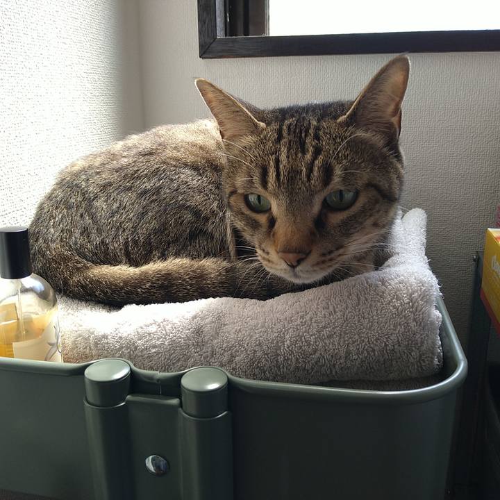 7721ec02 351e 4ebc a9df 890428f60fed 1715389721643